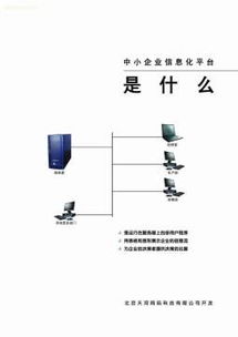 菏泽金蜘蛛网络科技 软件销售与开发，一站式解决方案提供商